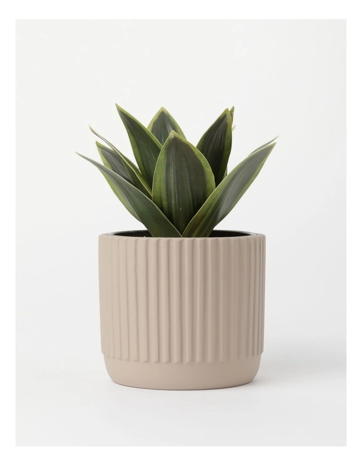 Agave Succulent Artificial Plant 19x19x22cm in Green