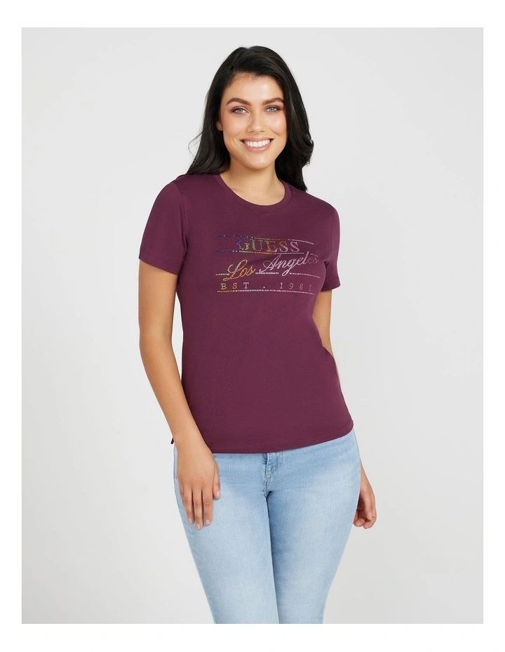 Rainbow Tee in Black Cherry