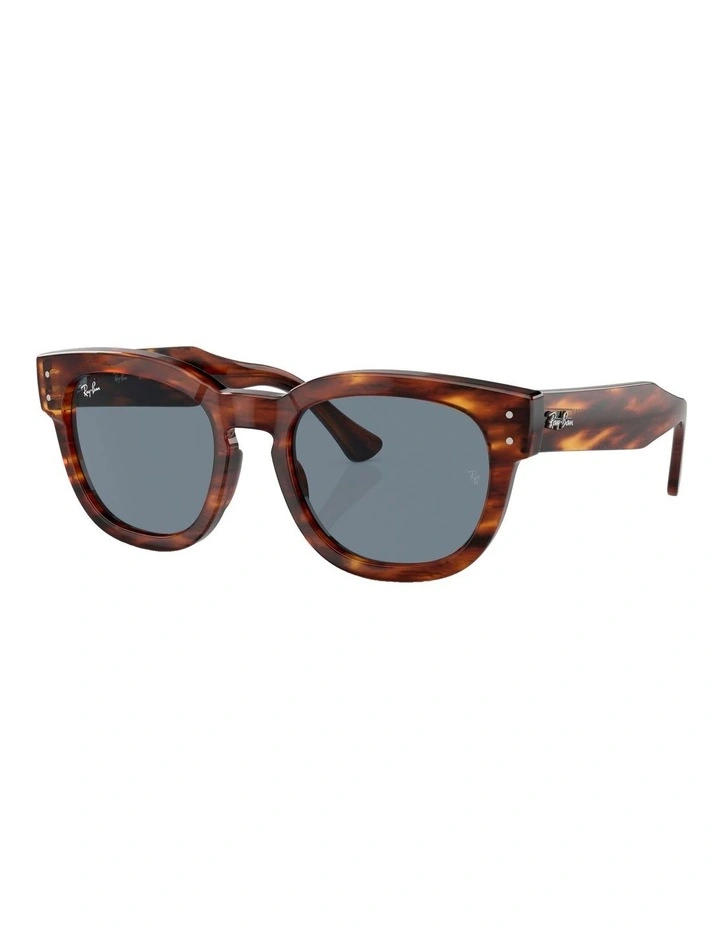 Mega Hawkeye Sunglasses in Brown