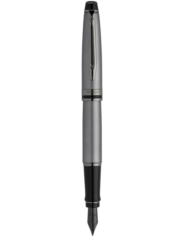 Waterman Expert Metallic Silver Lacquer with Ruthenium Trim Fountain Pen
