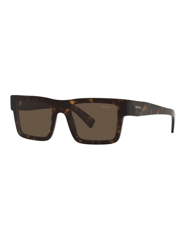 PR 19WS Tortoise Sunglasses
