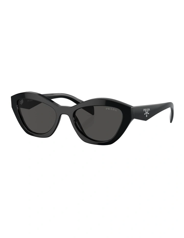 PR A02SF Sunglasses in Black
