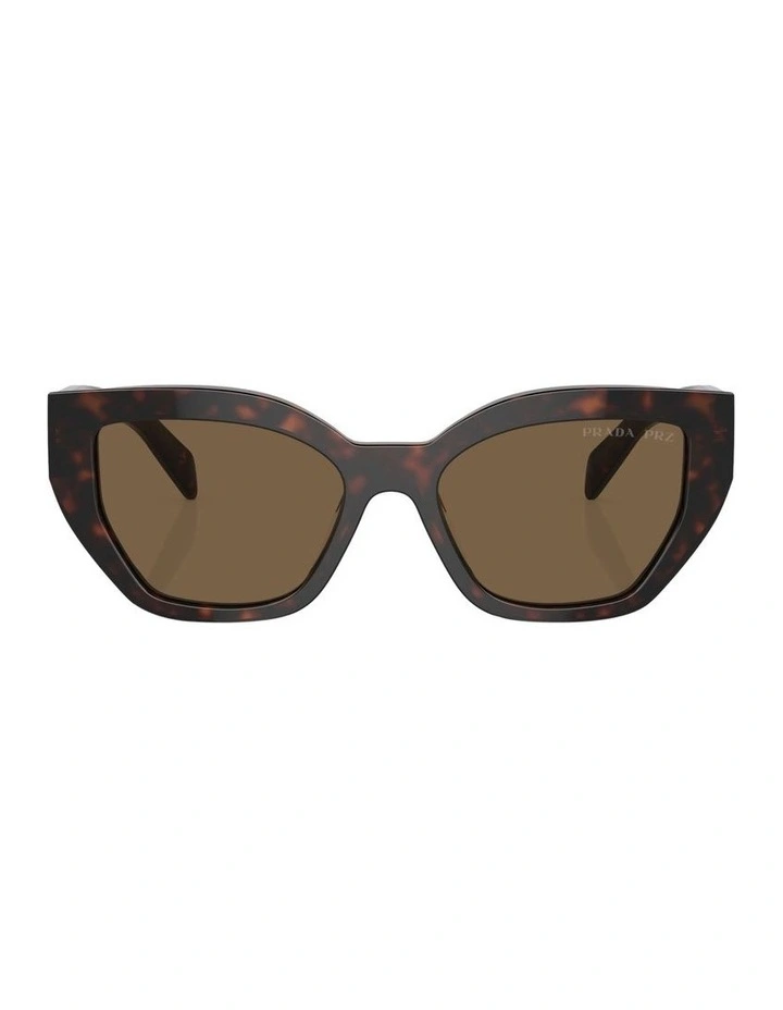 PR A09SF Sunglasses in Brown