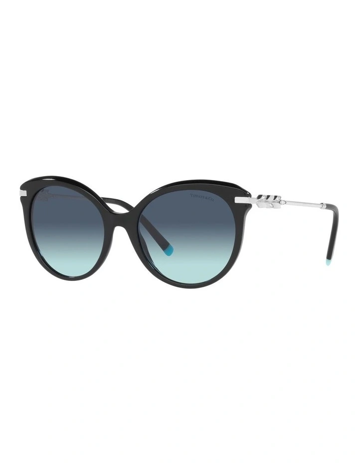 TF4189B Black Sunglasses
