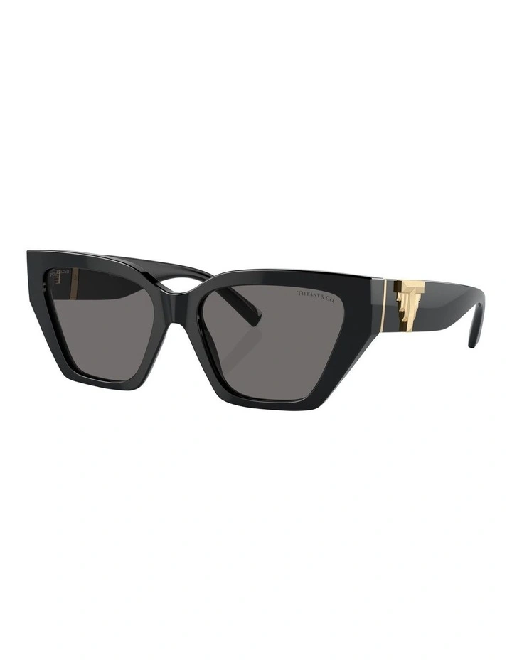 TF4218 Polarised Sunglasses in Black