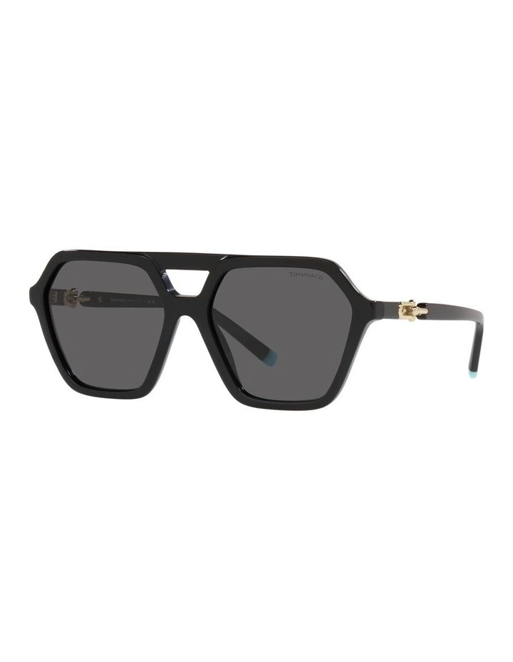 0TF4198 Sunglasses In Black