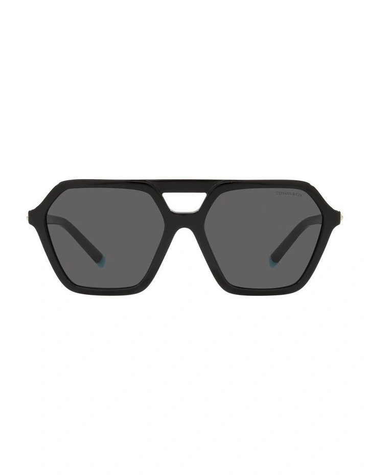 0TF4198 Sunglasses In Black