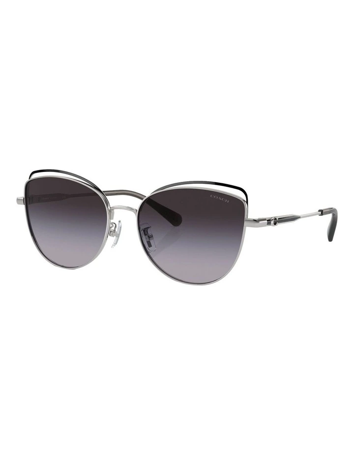 CR621 Sunglasses in Black