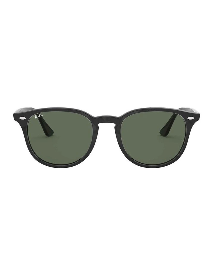 RB4259 Black Sunglasses