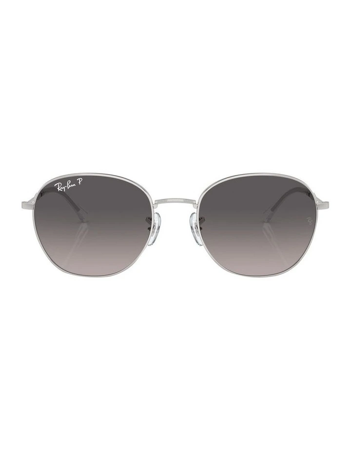 Polarised RB3809 Sunglasses in Silver