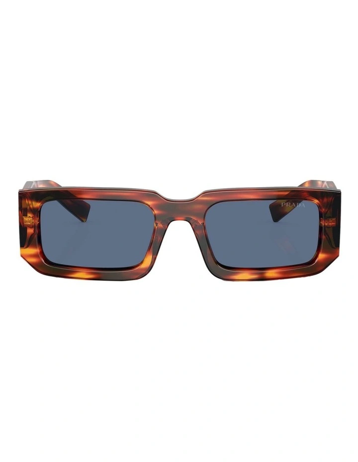 PR 06YS Sunglasses in Multicolor