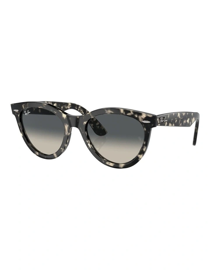 Wayfarer Way Sunglasses in Grey