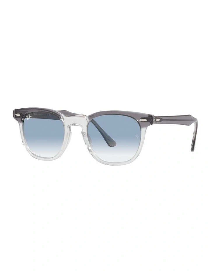 Hawkeye Grey Sunglasses