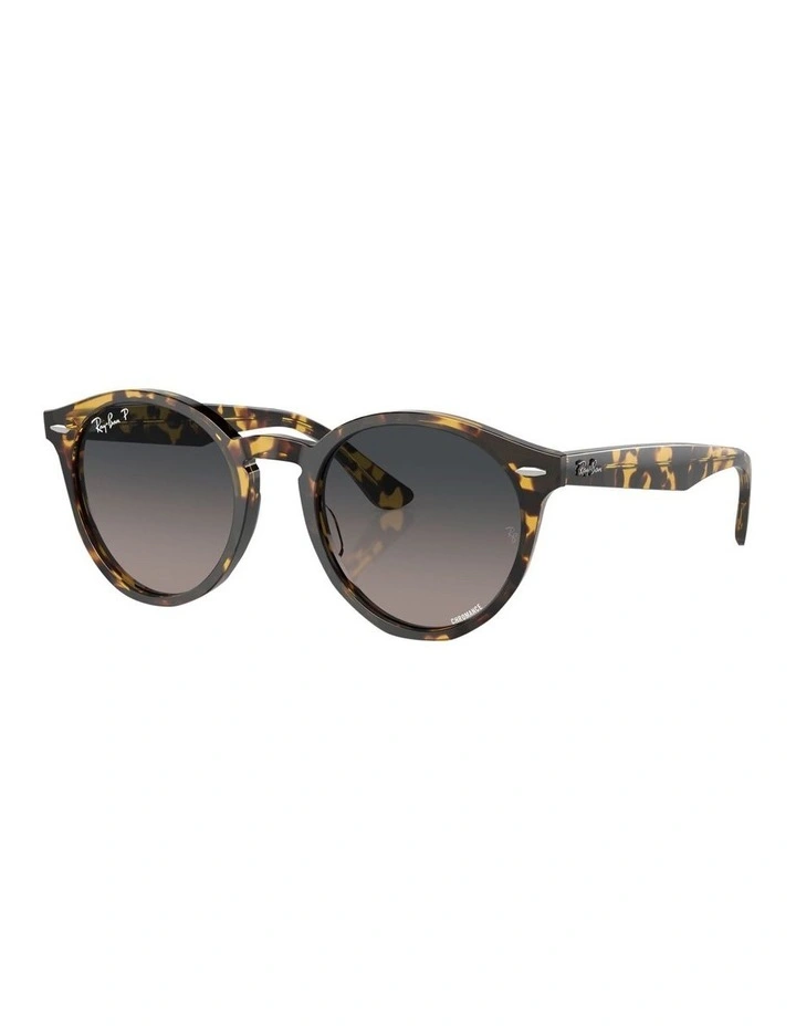 Larry Polarised Sunglasses in Brown