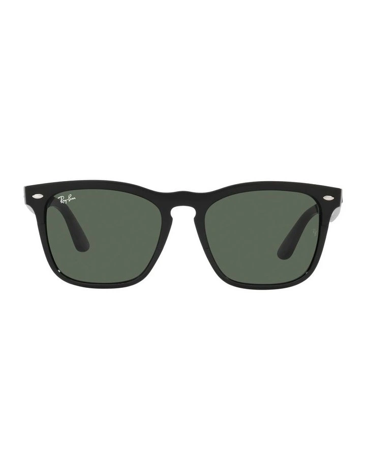 STEVE Sunglasses In Black