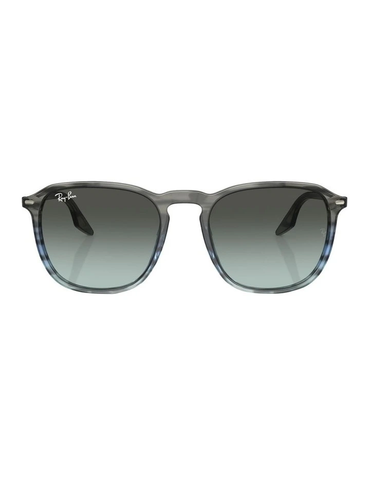 RB2203 Sunglasses in Blue