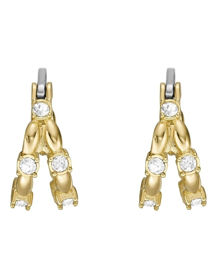 Jewelry Earring in Gold