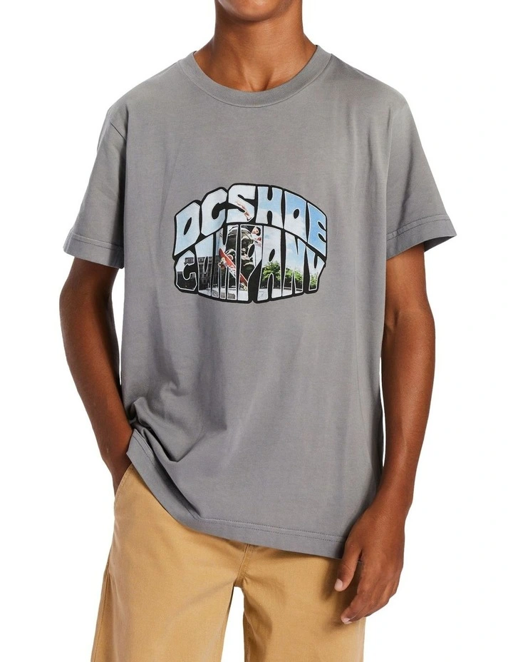 Citywide Short Sleeve Tee in Pewter Potassium