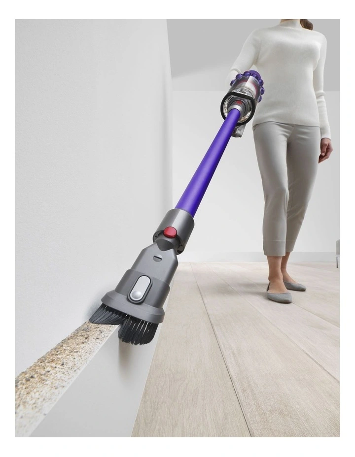 V10 Vacuum in Purple/Iron 394101-01