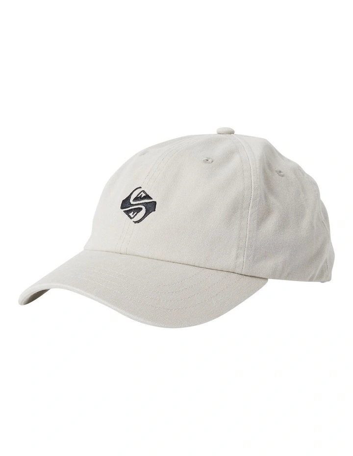 Rad Splatter Dad Cap in Stone