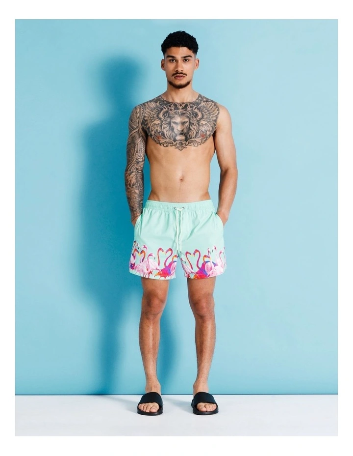 Curious Flamingo Print Swim Short in Assorted