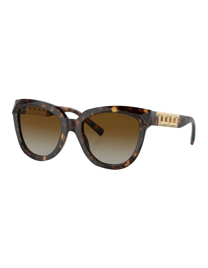 TF4215 Polarised Sunglasses in Tortoise