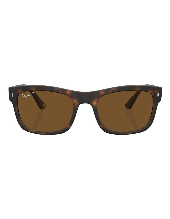 Polarized RB4428 Sunglasses in Tortoise
