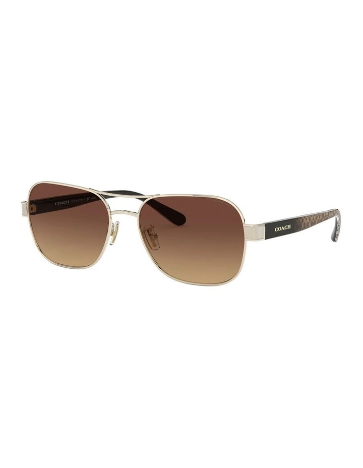 HC7116 L1151 Gold Polarised Sunglasses