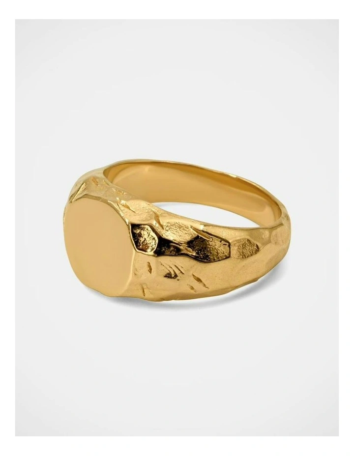 Jasper 1.0 Ring in Gold