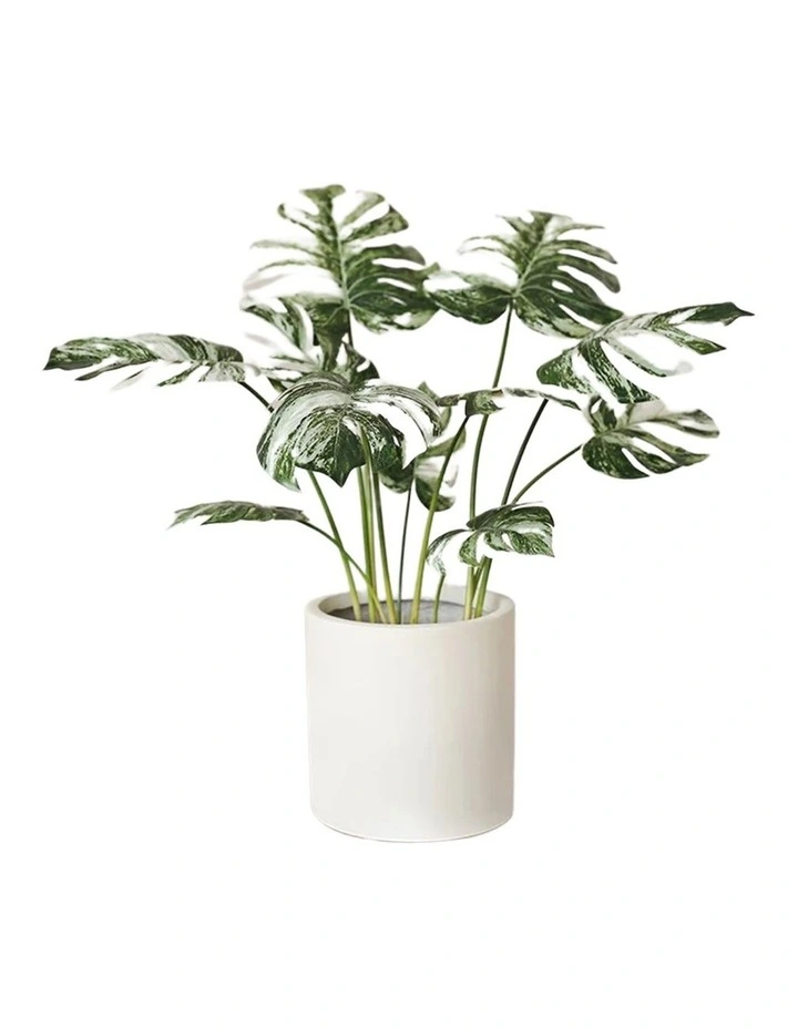 Monstera Albo Faux Plant with Ceramic Pot in White/Green