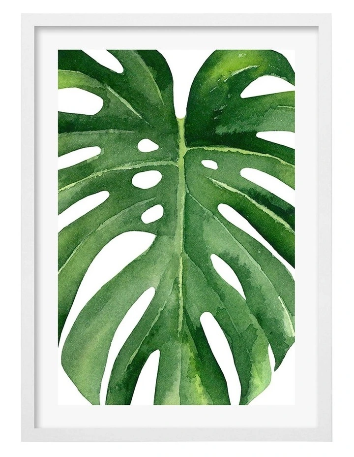 Australian Made Monstera Leaf Art Print A2 in White Frame