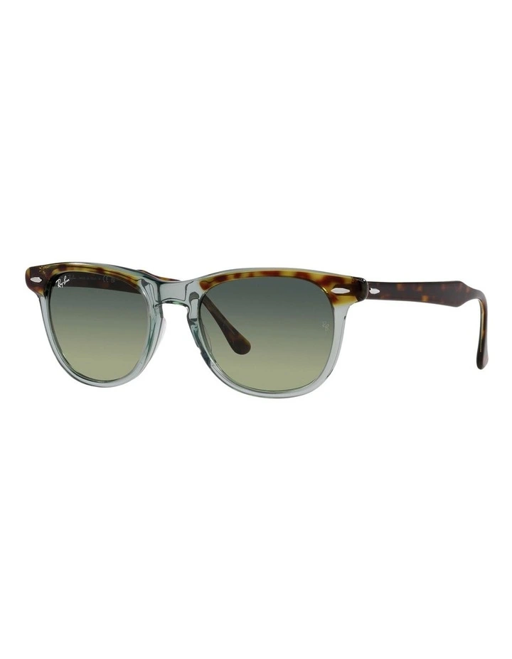 Eagle Eye Sunglasses in Brown