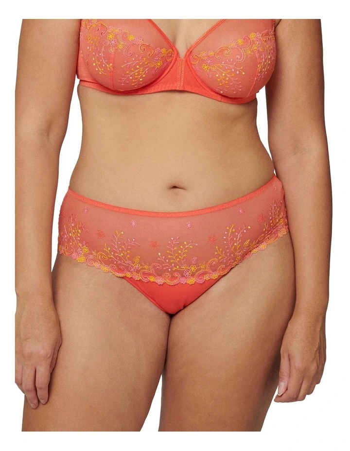 Delice Shorty Brief in Orange