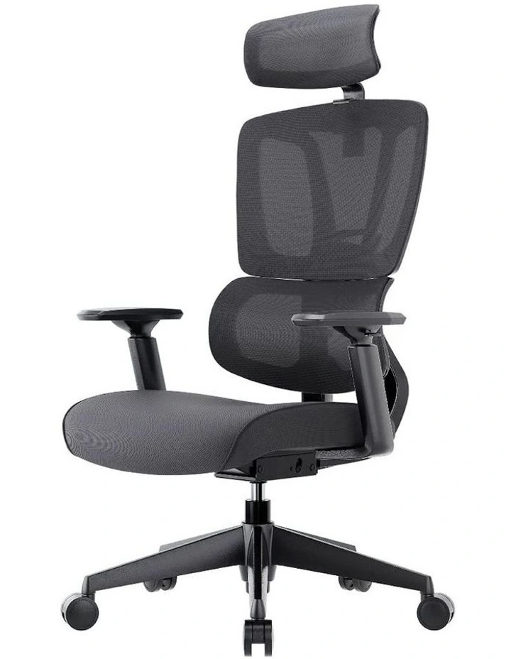 Meacca Ergonomic Mesh Back and Fabric Seat Manager Chair in Black