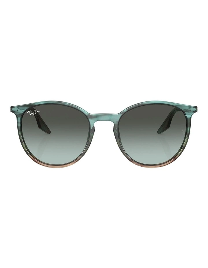 RB2204 Sunglasses in Multicolor