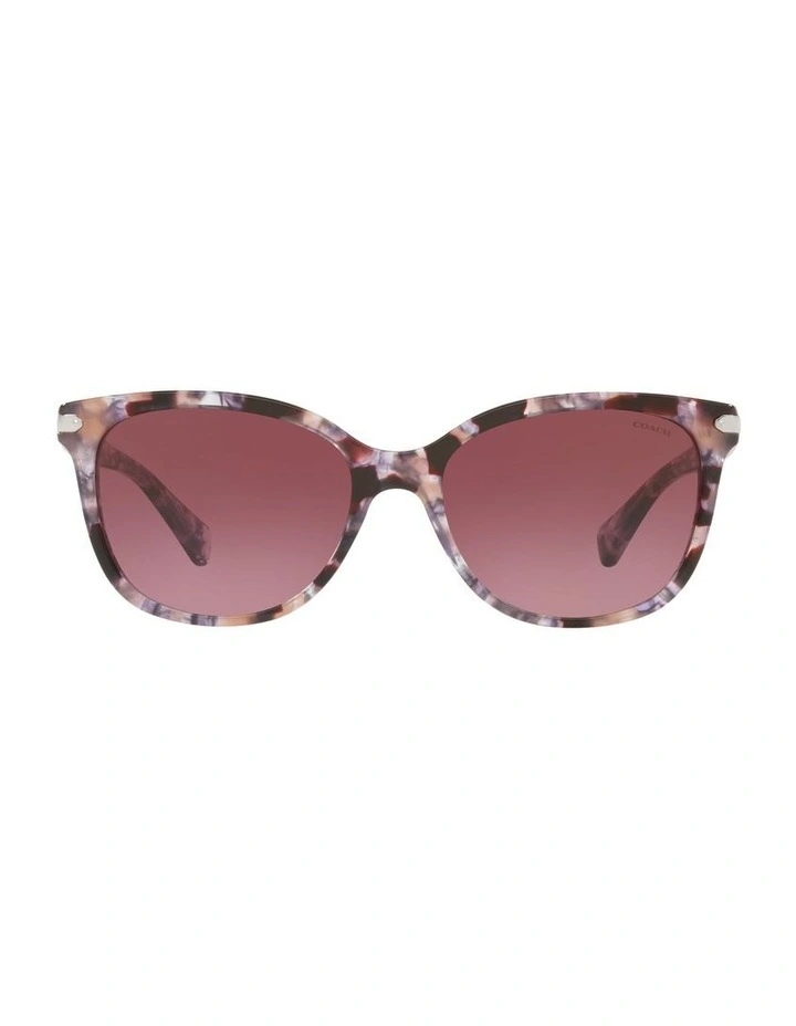 HC8132 L109 Violet Sunglasses