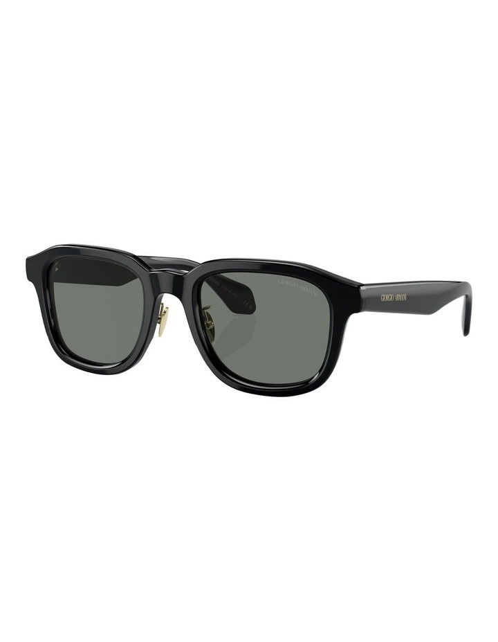 AR8206 Sunglasses in Black