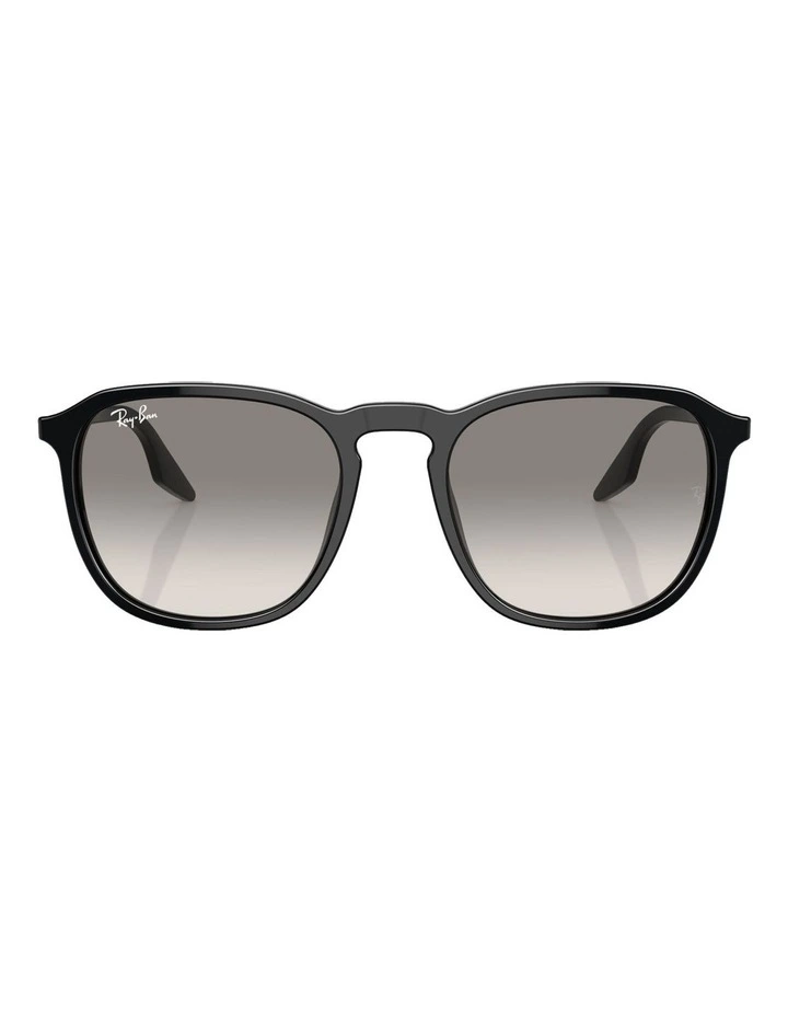 RB2203 Sunglasses in Black