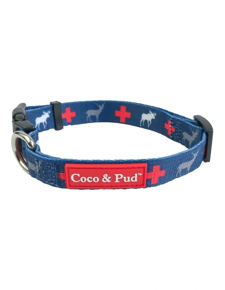 Adventure Dog Collar