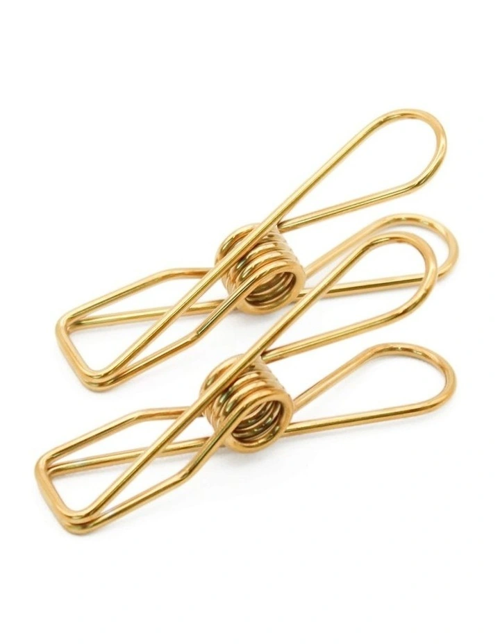 Small Stainless Steel Pegs 40 Pack in Gold