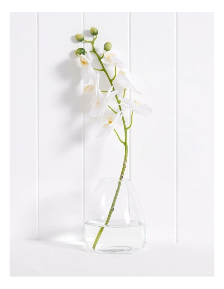 Essential Glass Teardrop Vase Small 15cm in Clear