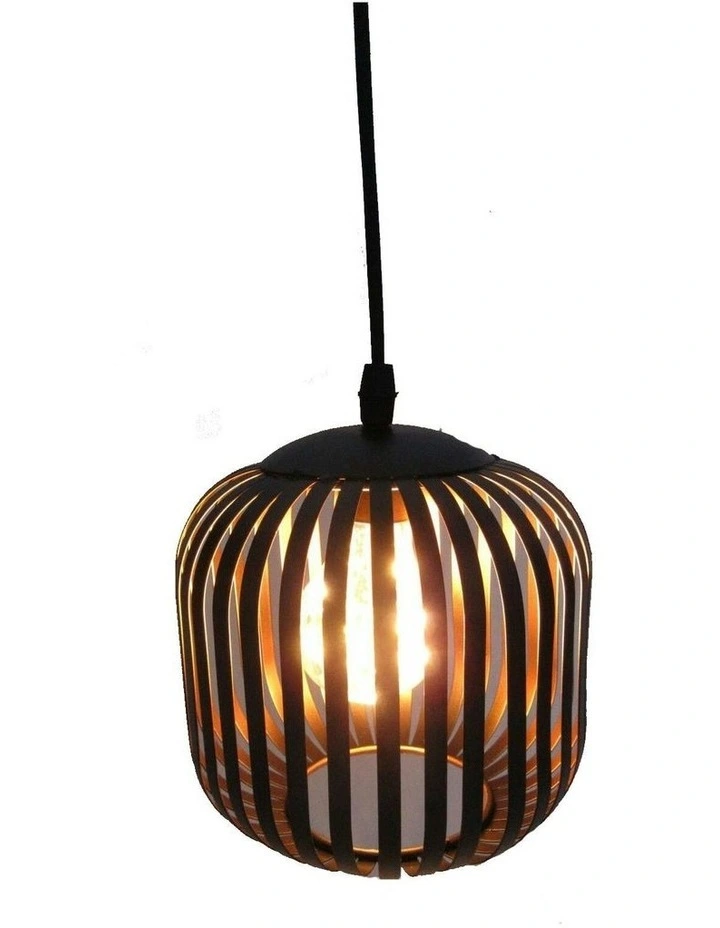 Ceiling Metal LED Pendant Lamp