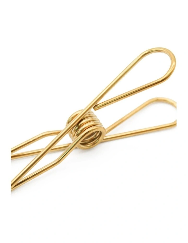 Small & Large Stainless Steel Pegs 40 Pack in Gold