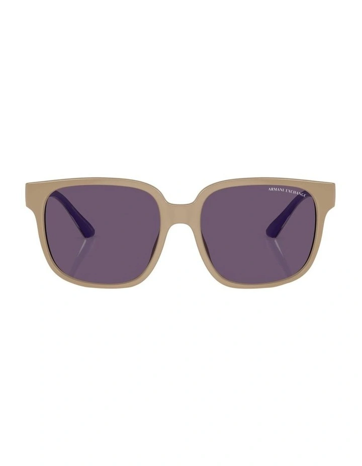 AX4136SU Sunglasses in Brown