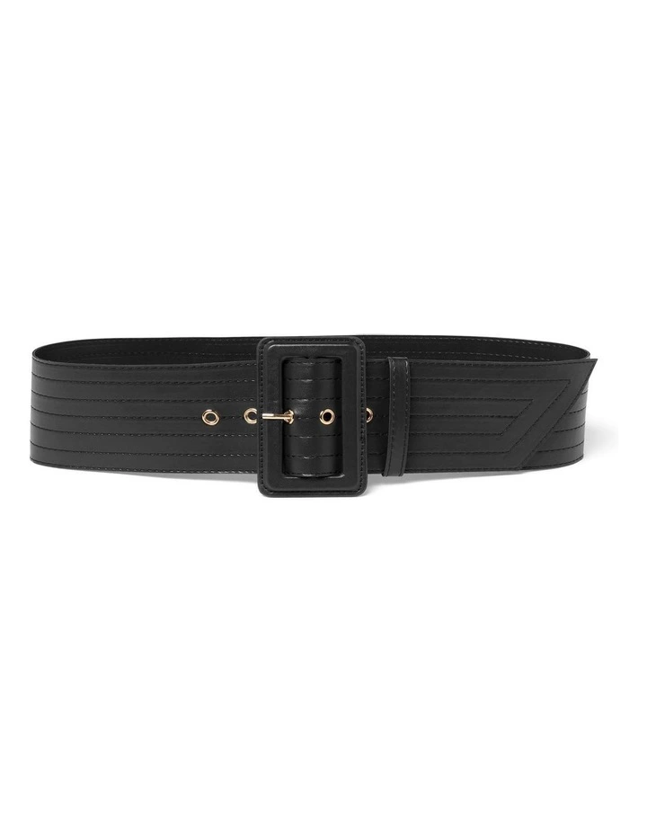 Whitney Wide Waist Belt in Brown