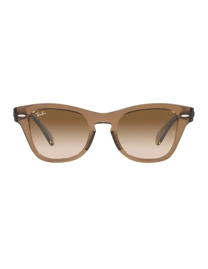 0RB0707S Sunglasses In Brown