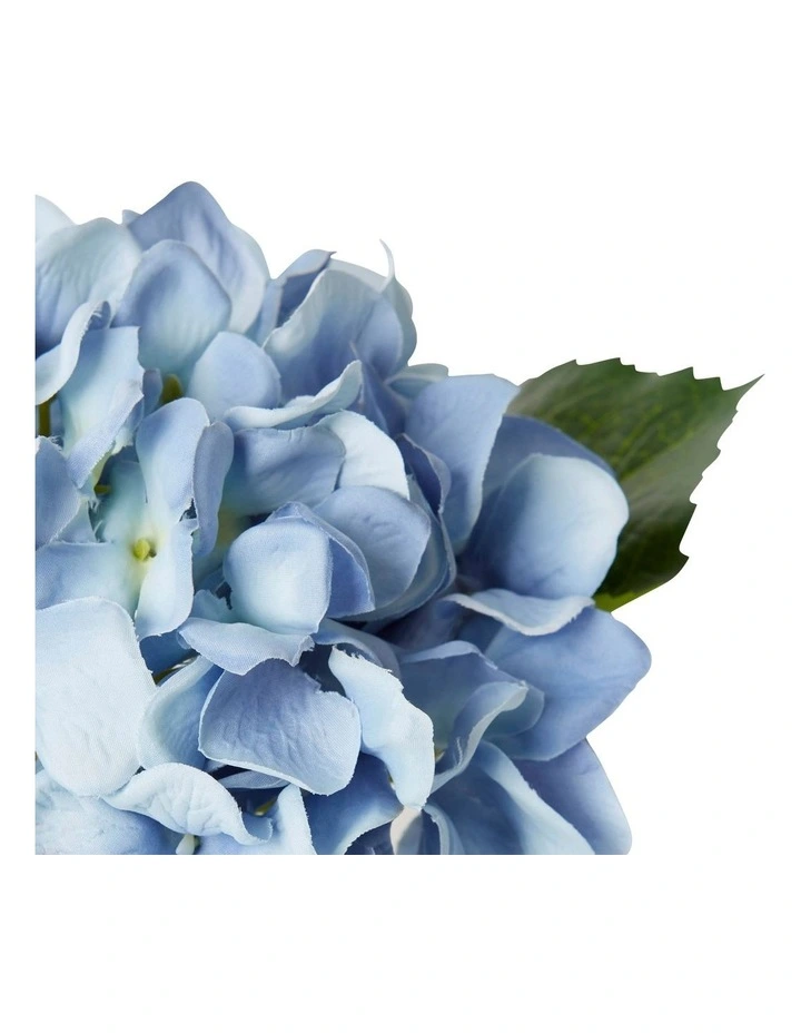 Hydrangea Alma Vase 20cm in Blue
