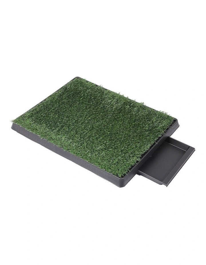 Indoor Large Potty Pad in Green