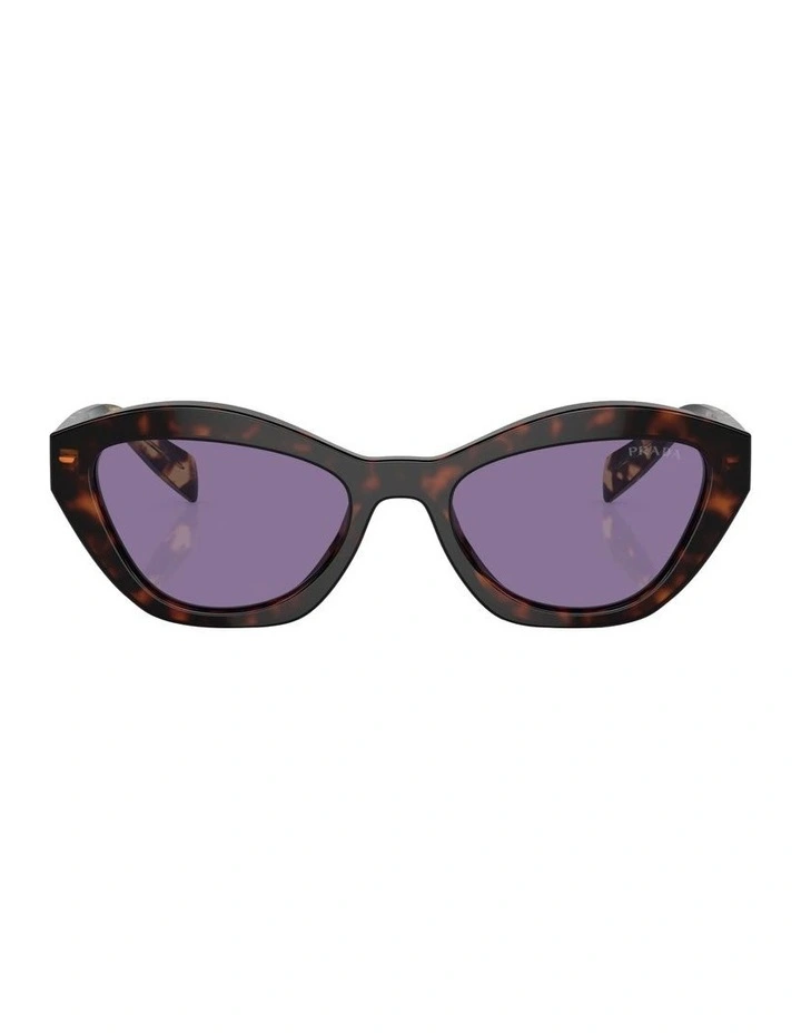 PR A02S Sunglasses in Tortoise