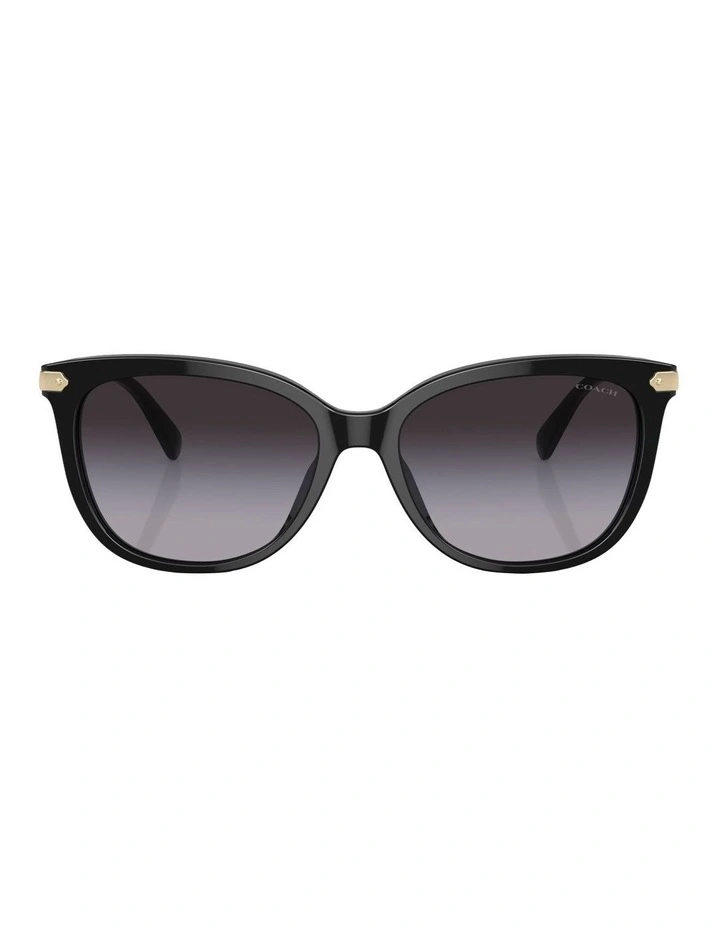 CL926 Sunglasses in Black